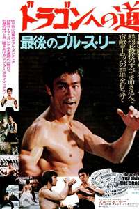 The Way of the Dragon - Poster