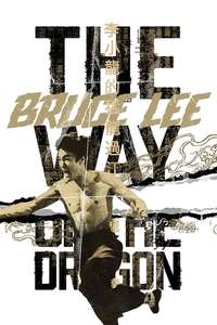 The Way of the Dragon - Poster