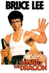 The Way of the Dragon - Poster