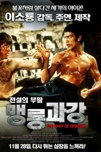 The Way of the Dragon - Poster