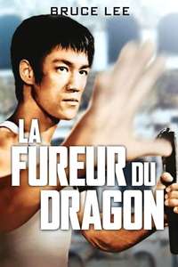 The Way of the Dragon - Poster