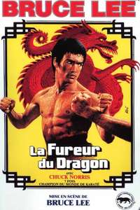 The Way of the Dragon - Poster
