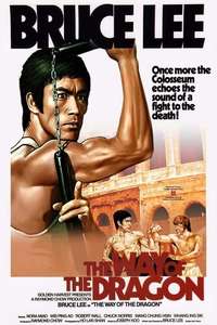 The Way of the Dragon - Poster