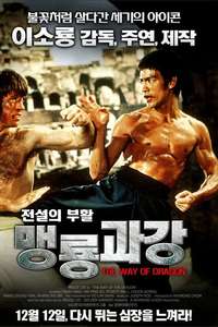 The Way of the Dragon - Poster