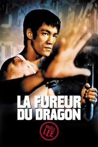 The Way of the Dragon - Poster