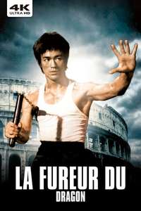 The Way of the Dragon - Poster