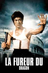 The Way of the Dragon - Poster