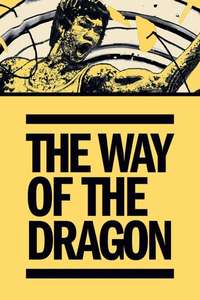The Way of the Dragon - Poster