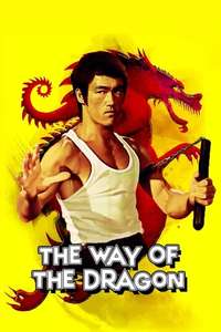 The Way of the Dragon - Poster