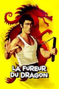 The Way of the Dragon - Poster