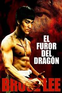 The Way of the Dragon - Poster