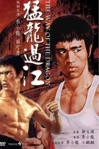 The Way of the Dragon - Poster