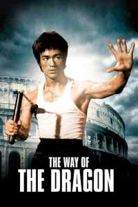 The Way of the Dragon - Poster
