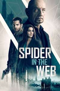 Spider in the Web - Poster