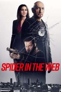 Spider in the Web - Poster