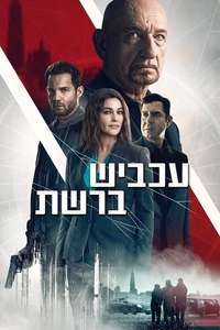 Spider in the Web - Poster