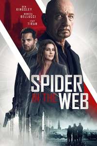 Spider in the Web - Poster