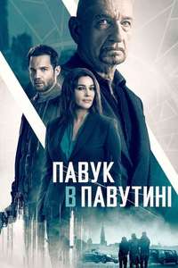 Spider in the Web - Poster