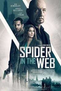 Spider in the Web - Poster