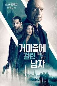 Spider in the Web - Poster