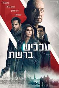 Spider in the Web - Poster