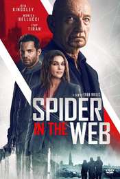 Spider in the Web