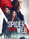Spider in the Web