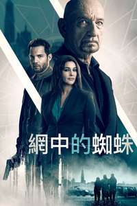 Spider in the Web - Poster