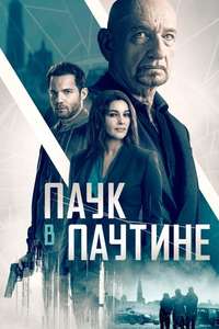 Spider in the Web - Poster