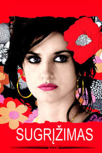 Volver - Poster