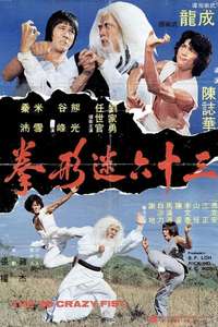 The 36 Crazy Fists - Poster