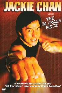 The 36 Crazy Fists - Poster