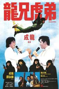 Armour of God - Poster
