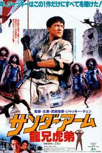 Armour of God - Poster
