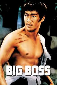 The Big Boss - Poster