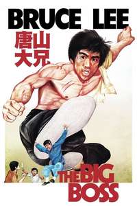 The Big Boss - Poster