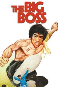 The Big Boss - Poster