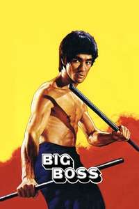 The Big Boss - Poster