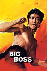 The Big Boss - Poster