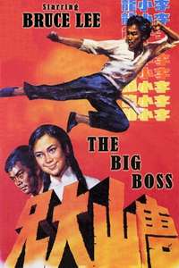 The Big Boss - Poster