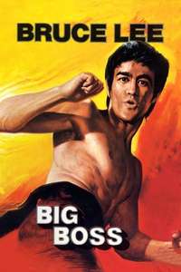The Big Boss - Poster