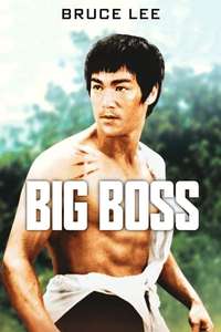 The Big Boss - Poster