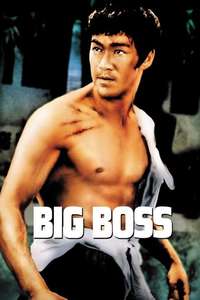 The Big Boss - Poster