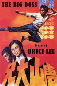 The Big Boss - Poster