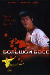 The Big Boss - Poster