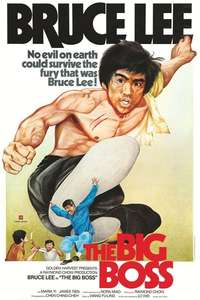 The Big Boss - Poster