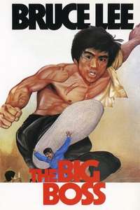 The Big Boss - Poster