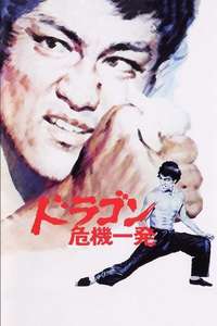 The Big Boss - Poster