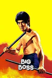 The Big Boss - Poster