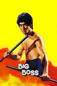 The Big Boss - Poster